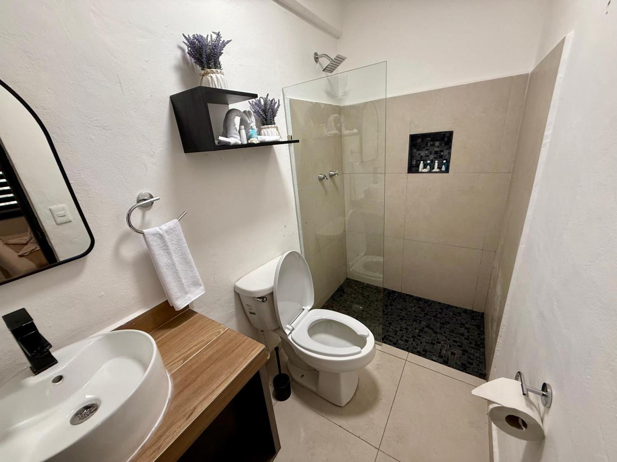 ホテル Casa Tortuga 5Th Ave プレヤデルカーメン エクステリア 写真