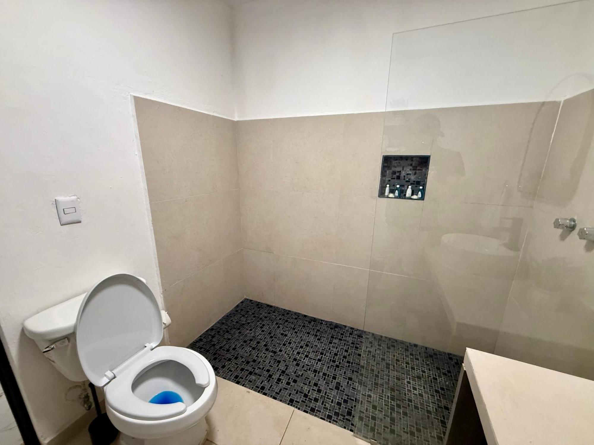 ホテル Casa Tortuga 5Th Ave プレヤデルカーメン エクステリア 写真