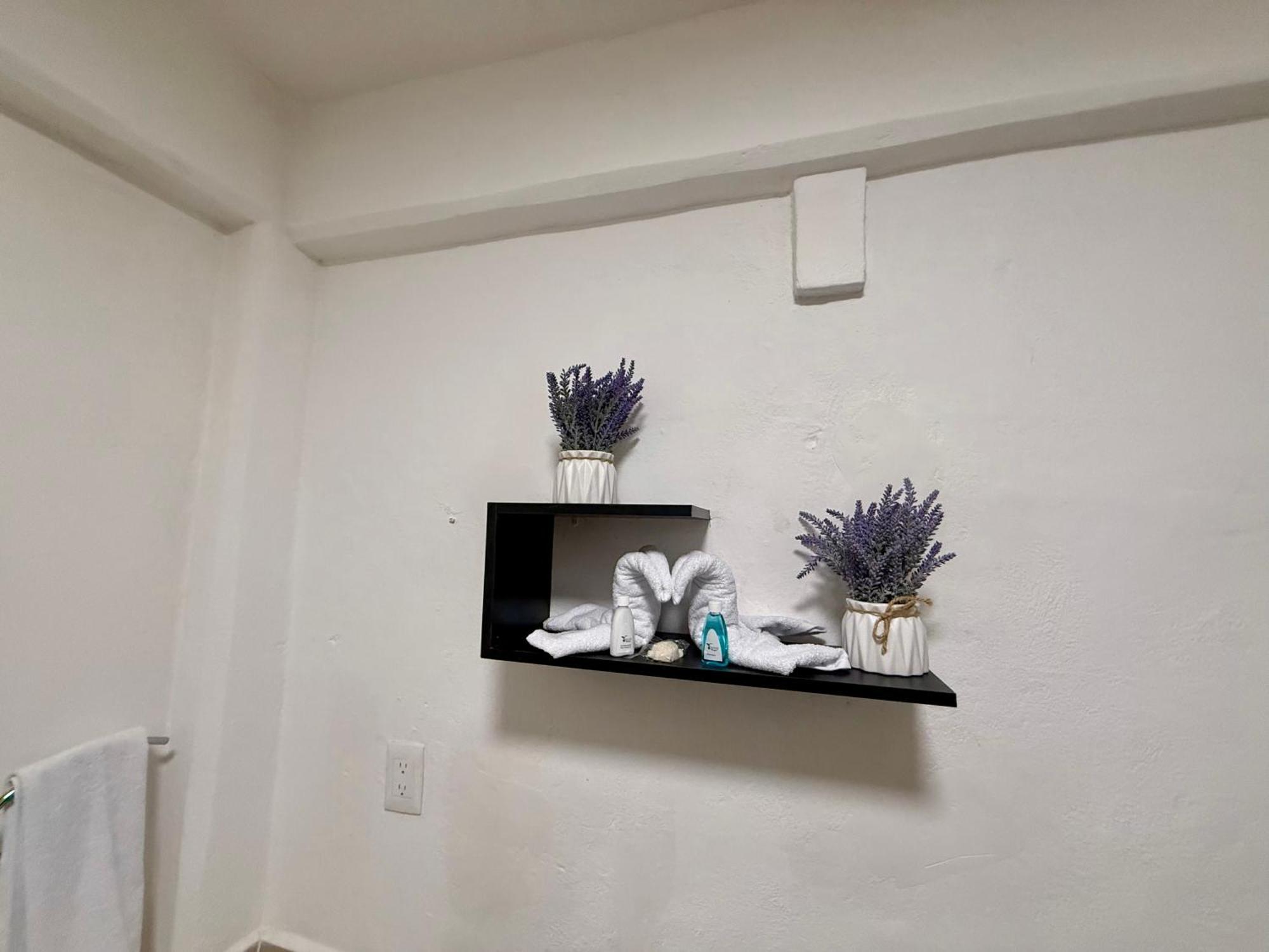 ホテル Casa Tortuga 5Th Ave プレヤデルカーメン エクステリア 写真