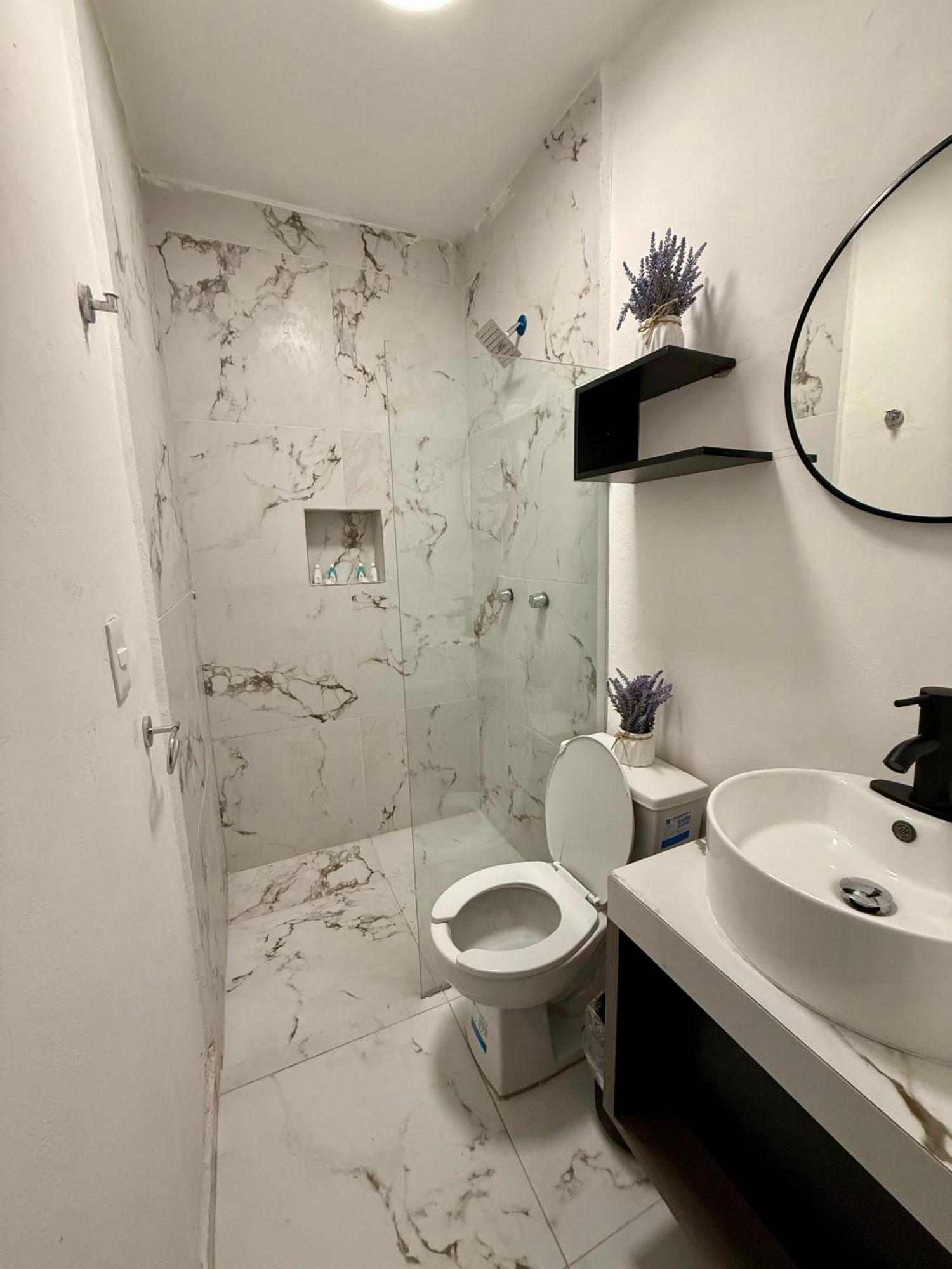 ホテル Casa Tortuga 5Th Ave プレヤデルカーメン エクステリア 写真