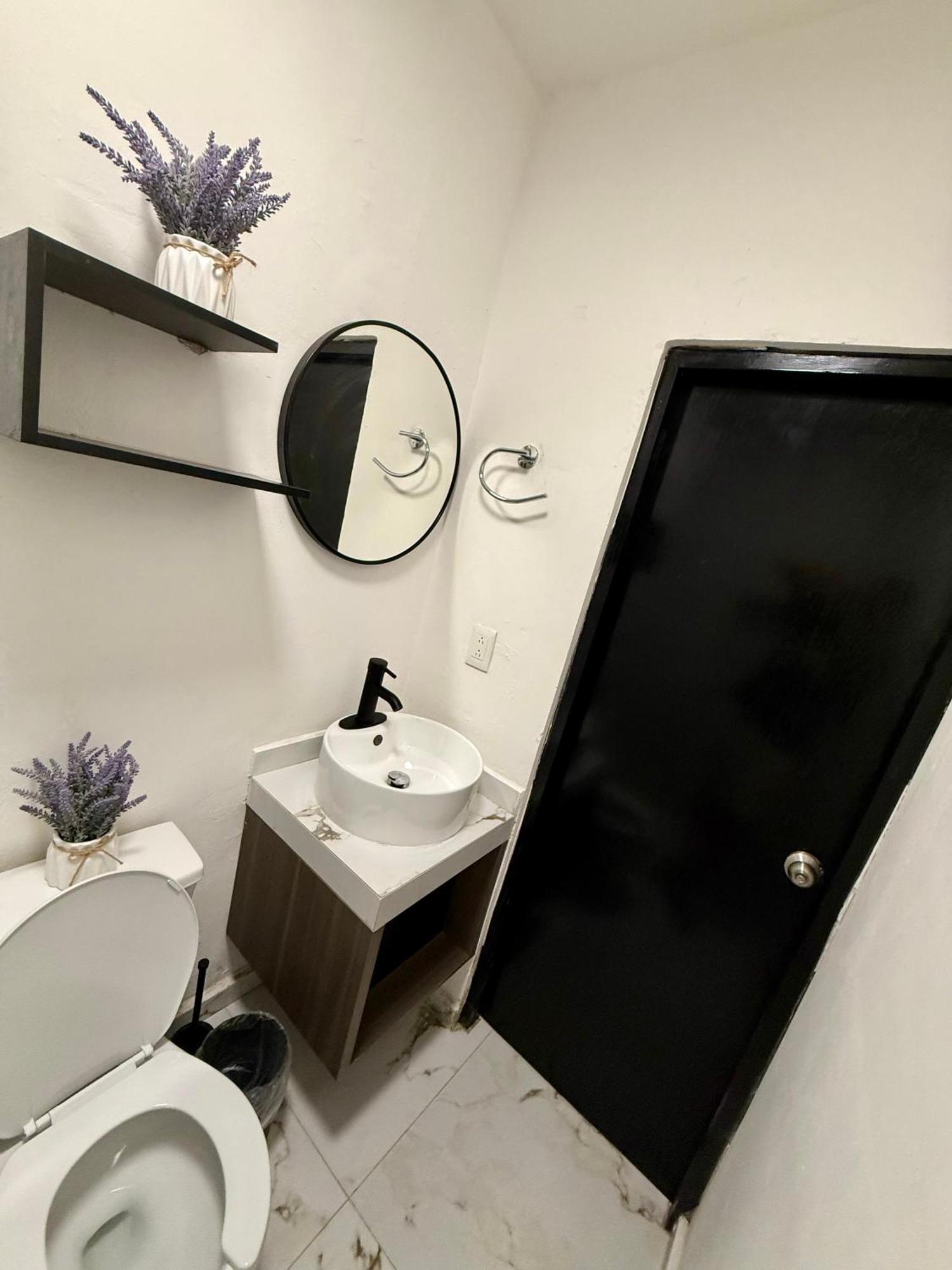 ホテル Casa Tortuga 5Th Ave プレヤデルカーメン エクステリア 写真