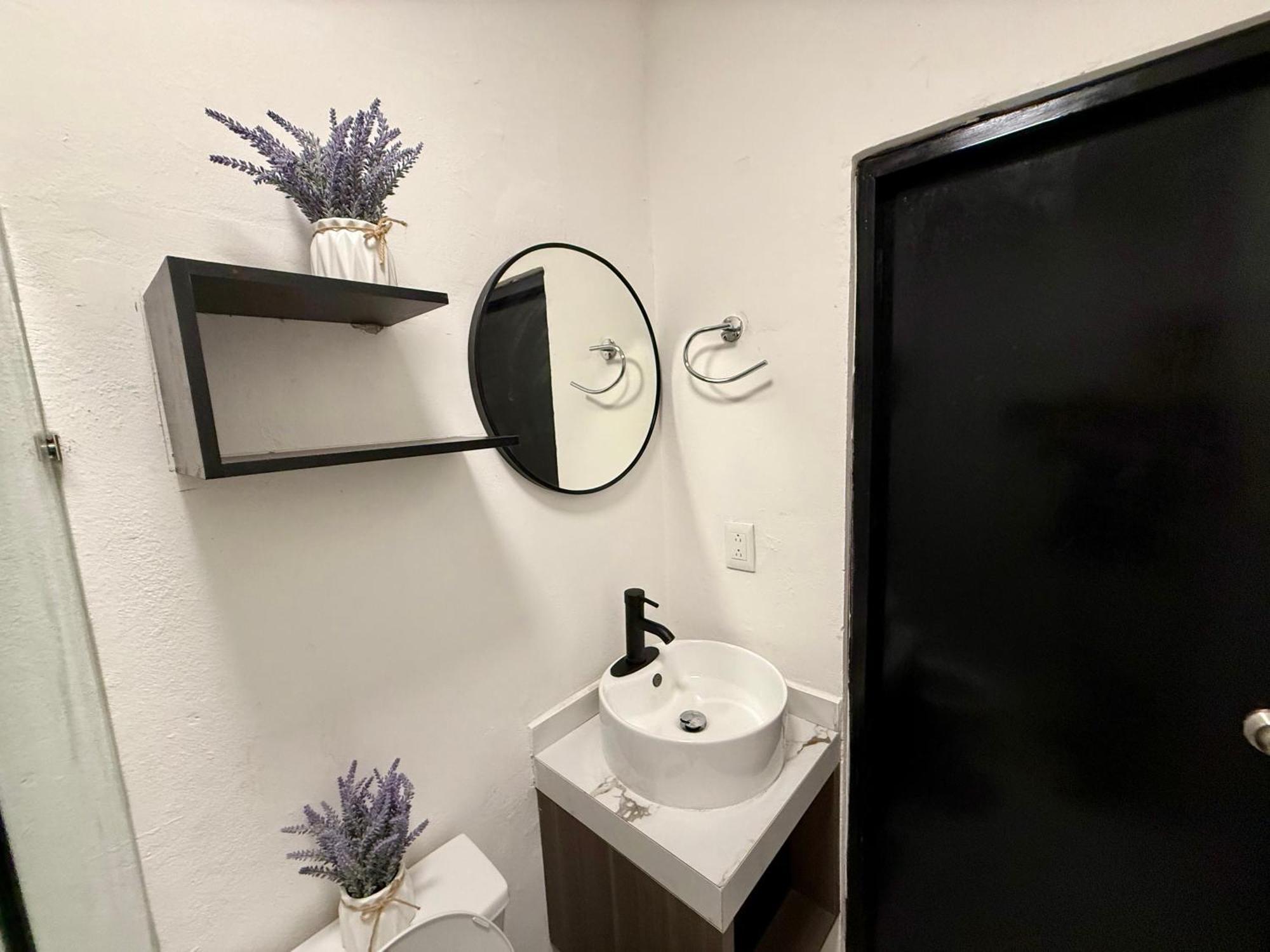 ホテル Casa Tortuga 5Th Ave プレヤデルカーメン エクステリア 写真