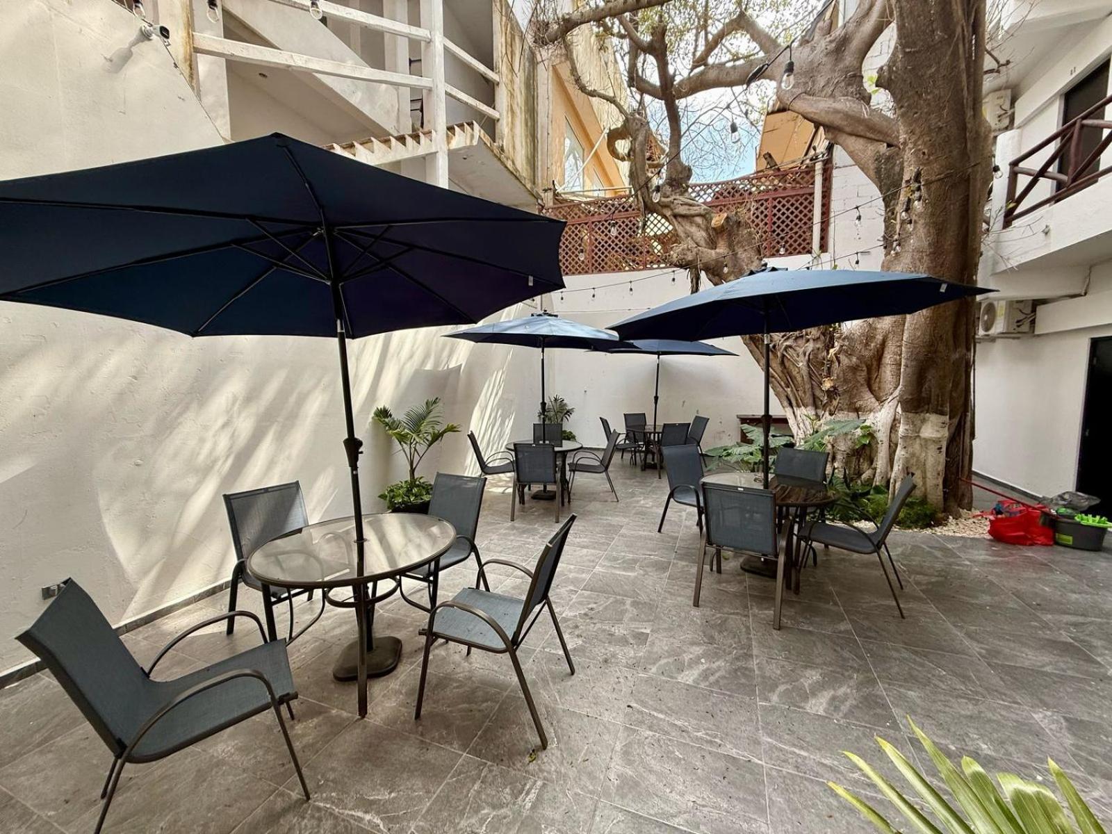 ホテル Casa Tortuga 5Th Ave プレヤデルカーメン エクステリア 写真