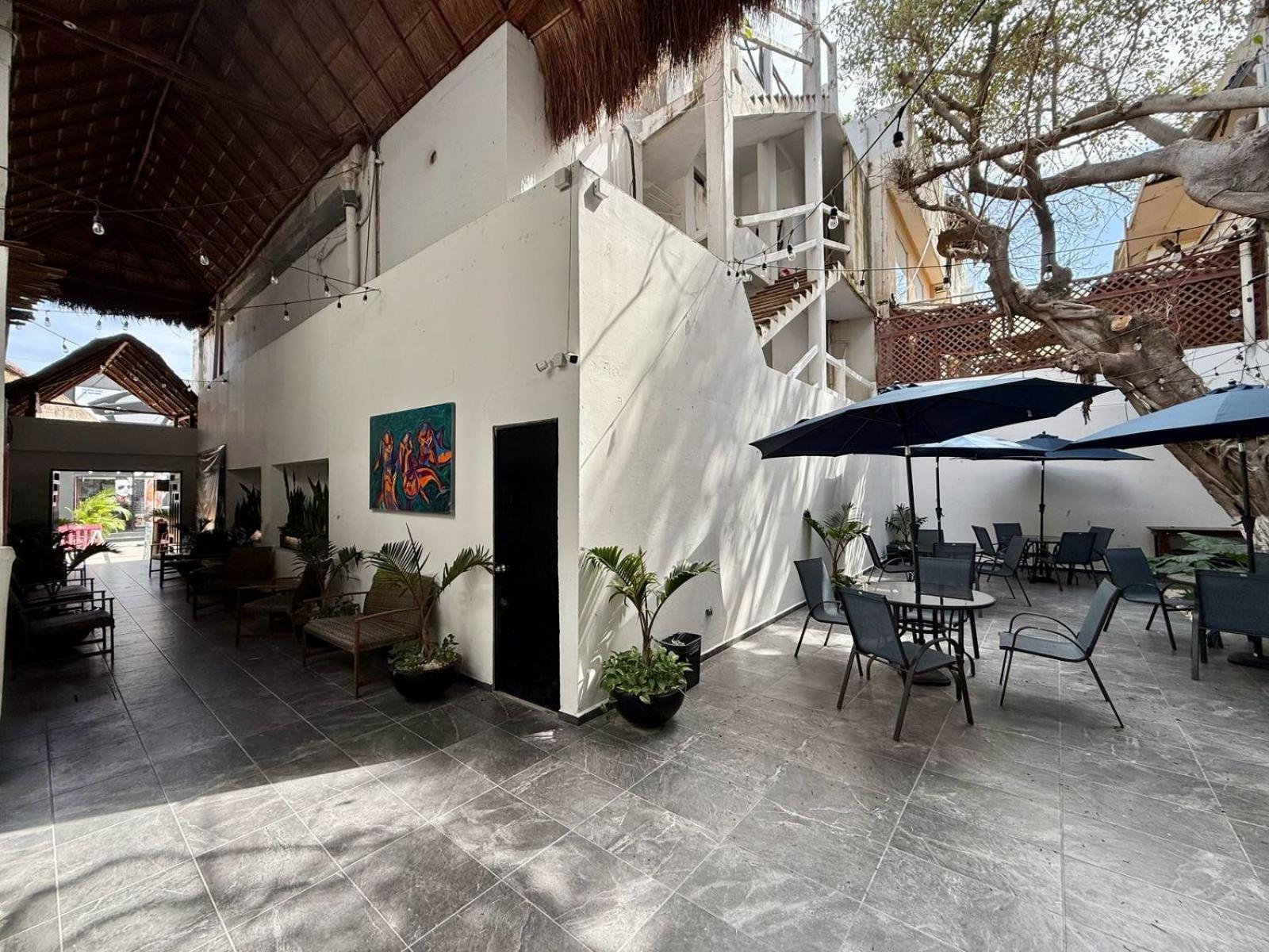 ホテル Casa Tortuga 5Th Ave プレヤデルカーメン エクステリア 写真