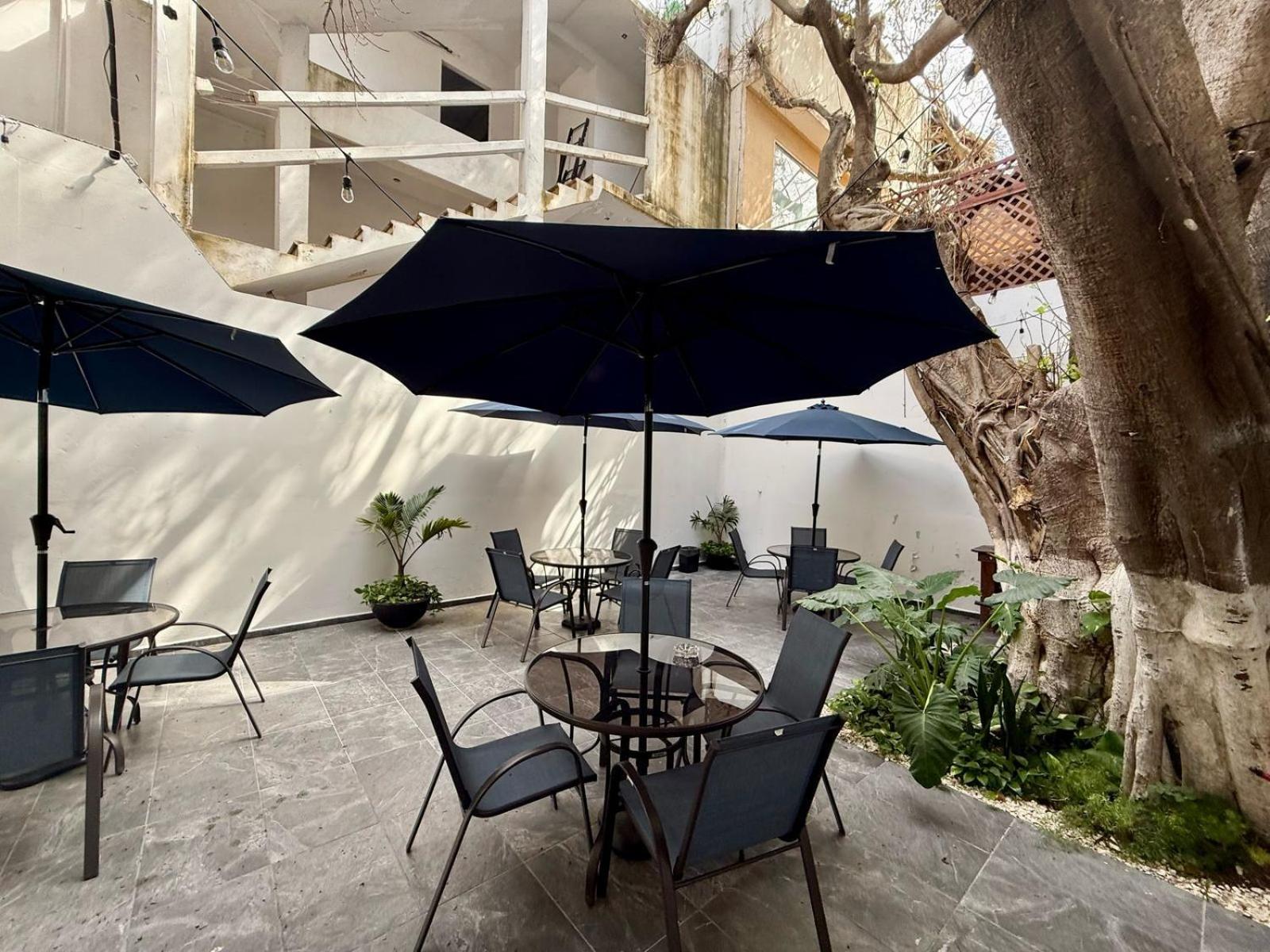 ホテル Casa Tortuga 5Th Ave プレヤデルカーメン エクステリア 写真